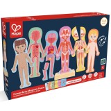 Puzzle magnetic pentru copii, Corpul uman, Hape, 68 piese