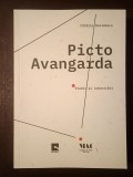 Cătălin Davidescu - PictoAvangarda / Picto-avangarda: studii și comunicări (2021)