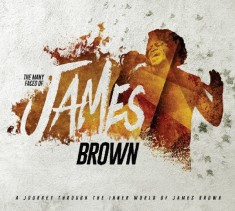 3xCD The Many Faces of James Brown foto