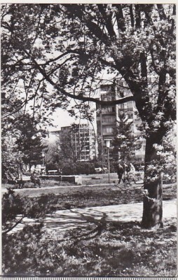 bnk cp Timisoara - Vedere - necirculata foto