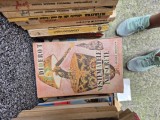 Nestematele indiscrete vintage