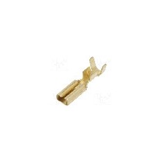 Terminal tip plat, pentru surub {{Orificiu pentru &amp;#351;urub}}, IMP - 1670.08.00.3