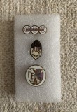 Set Insigne FC Argeș -fotbal