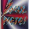 SOCUL PIETEI , O AGENDA PENTRU RECONSTRUCTIA ECONOMICA SI SOCIALA IN EUROPA CENTRALA SI DE EST de JAN KREGERL ... GERNOT GRABHER , 1995