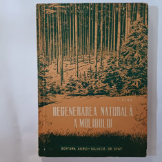 REGENERAREA NATURALA A MOLIDULUI.EDITURA AGRO SILVICA.-ING.DR.I.VLAD.1958 Z1.