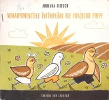 Nemaipomenitele Intamplari ale Fratilor Prepe - Adriana Iliescu, Ion Creanga, 1990, Povesti copii, Paperback