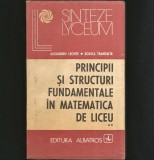 PRINCIPII ȘI STRUCTURI FUNDAMENTALE &Icirc;N MATEMATICA DE LICEU - ALEXANDRU LEONTE