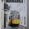 INDURABILE de ANDREI CRACIUN , 2017