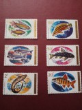 RWANDA, FISH - 6 VALORI MNH