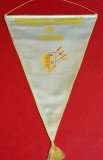 Fanion Sportiv (perioada comunista) - FEDERATIA de SCRIMA din ROMANIA (dimensiuni mari 46x31 cm)