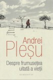 Despre frumusetea uitata a vietii - Humanitas