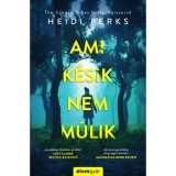 Ami k&eacute;sik, nem m&uacute;lik - Heidi Perks