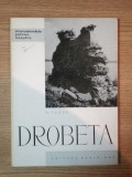 DROBETA DE D. TUDOR , 1965