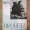 DROBETA DE D. TUDOR , 1965