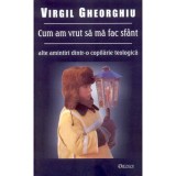 Cumpara ieftin Cum Am Vrut Să Mă Fac Sf&acirc;nt, Virgil Gheorghiu - Editura DEISIS