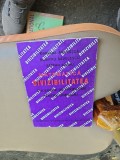 Matematica Divizibilitatea, culegere de probleme pentru gimnaziu - MARIANA ANDRUȘCA, DUMITRU SAVULESCU, STEFAN SĂBAU