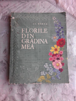 FLORILE DIN GRADINA MEA - AL. BORZA foto