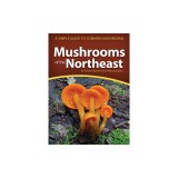Mushrooms of the Northeast: A Simple Guide to Common Mushrooms