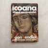 Egon Sendler - Icoana - Imaginea nevazutului, 2005