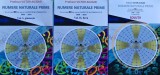 Cumpara ieftin Numere naturale prime. In ultimii 50 de ani de Gazeta Matematica 1968-2018 Vol. 1-2 + Solutii - 2019 - Victor Ailioaei (@B331)