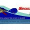 Capse 6X4mm pentru aparat de legat via 604C 10,000 buc Premium Comforex Taiwan CFR005