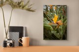 Tablou Canvas, "Pasărea paradisului &icirc;ntre frunze verzi", Exotic, Colorat, Tropical, Vibrant, Frumusețe, &Icirc;ndrăzneț, Natură, Plante, Verdeață, Delicat.,