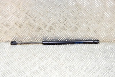 Amortizor capota dreapta față TESLA MODEL S 2017 OEM: 1062634-00-A 16894582 foto