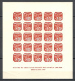 Cehoslovacia.1937 Expozitia filatelica BRATISLAVA-Bl. XC.167, Nestampilat