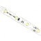 Bandă LED Alb Rece 12V 60 LED/m IP20
