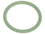 Garnitură O-ring FPM Verde 1,8mm x 17mm M20