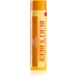 Burt&rsquo;s Bees Lip Care balsam de buze cu miere (with Honey &amp; Vitamin E) 4,25 g