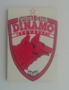 Magnet Frigider Dinamo Bucuresti Fotbal - Suvenir Club Sportiv - Colectie Fan - M3 C3