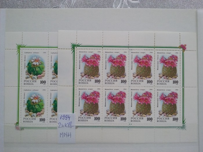1994-Rusia-Cactusi-2Klb.-MNH-Perfect