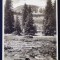 P.161 CP SEBES ALBA S.K.V. ORTSGRUPPE M&Uuml;HLBACH VARFUL SURIAN FISCHER SIBIU 1933