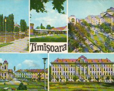 CPIB 16016 CARTE POSTALA - TIMISOARA, MOZAIC