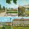 CPIB 16016 CARTE POSTALA - TIMISOARA, MOZAIC