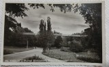 Carte postala, Craiova, Parcul Romancescu Podul suspendat, anii 40