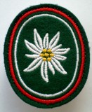 M.117 GERMANIA EMBLEMA ECUSON PATCH MILITAR BUNDESWEHR Gebirgsj&auml;gerbrigade 23