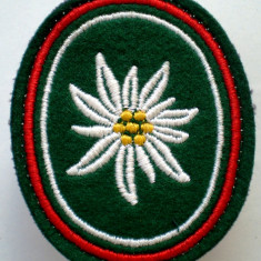 M.117 GERMANIA EMBLEMA ECUSON PATCH MILITAR BUNDESWEHR Gebirgsjägerbrigade 23