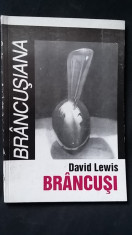 David Lewis - Brancusi (Seria Brancusiana) sculptor modernist Constantin 65 ill. foto