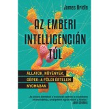 Az emberi intelligenci&aacute;n t&uacute;l - &Aacute;llatok, n&ouml;v&eacute;nyek, g&eacute;pek: a f&ouml;ldi &eacute;rtelem nyom&aacute;ban - James Bridle