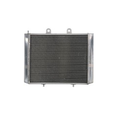 Radiator POLARIS SPORTSMAN 700/800 2004-2015&nbsp;