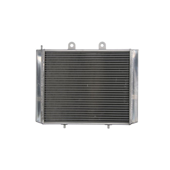 Radiator POLARIS SPORTSMAN 700/800 2004-2015&nbsp;