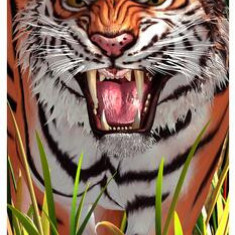 Semn de carte 3D - Tiger Trouble - ***
