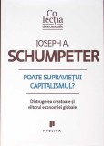 POATE SUPRAVIETUI CAPITALISMUL? DISTRUGEREA CREATOARE SI VIITORUL ECONOMIEI GLOBALE-J. SCHUMPETER-273450