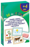 36 de jetoane - Oameni, animale, plante și părți componente, fenomene ale naturii, elemente de igienă personală, anotimpuri - Paperback - *** - Didact