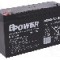 Acumulator plumb-acid, 6V, 12Ah, BPOWER - BPE 12-6