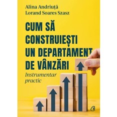 Cum sa construiesti un departament de vanzari. Instrumentar practic, Alina Andriuta, Lorand Soares Szasz