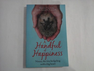 A HANDFUL OF HAPPINESS - MASSIMO VACCHETTA WITH ANTONELLA TOMASELLI foto