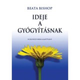 Ideje a gy&oacute;gy&iacute;t&aacute;snak - Beata Bishop